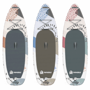 Modèle PARIETAL de PAPADDLE