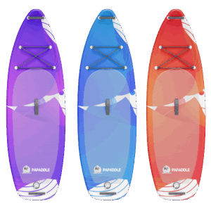 Modèle CIRCLE de PAPADDLE